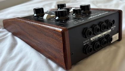 Big Briar-Moogerfooger MF-104 Analog Delay